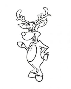 Funny Reindeer