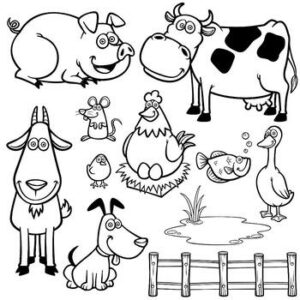 Happy Farm Animals