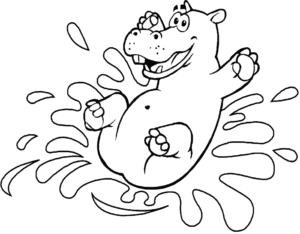 hippo playing